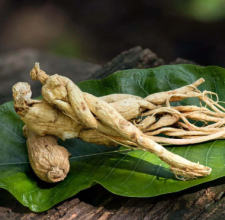 Glyco Harmony Panax Ginseng Aerial Extract ingredient